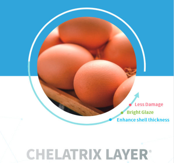 C1232 Applies Chelatrix Layer C1232 Powder Form Strong Shell Treasure